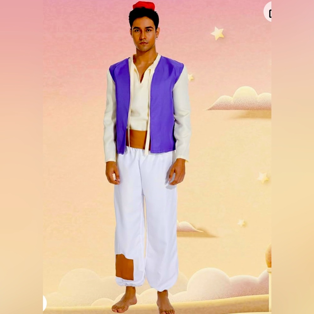 Aladdin adult (Men’s) Halloween costume